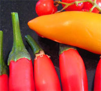 faqs about Occasions Dining.Com, freelance chef and villa catering service, Algarve, Portugal